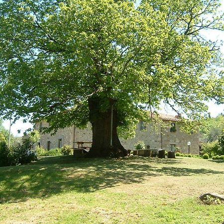 Vila Antico Casale Pozzuolo Seggiano Exteriér fotografie