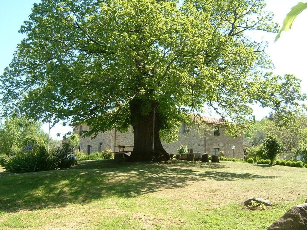 Vila Antico Casale Pozzuolo Seggiano Exteriér fotografie